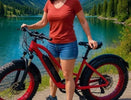 What's The Scoop On The Step-Thru Electric Bike? - Shopsy Dropsy