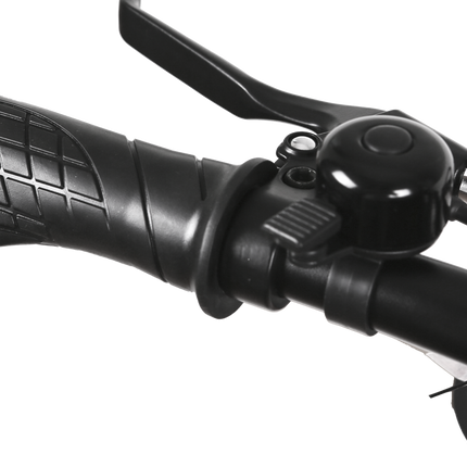 Nakto Pony Step Thru 36V/250W Electric Bike 20" Tire