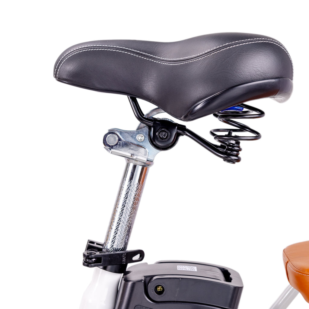 Nakto Elegance 2 with 48V/500W Electric Bike 22" Tire (Step-Through)