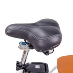 Nakto Elegance 2 with 48V/500W Electric Bike 22" Tire (Step-Through)