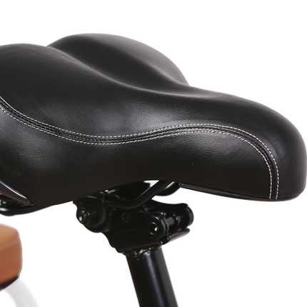 Nakto Pony Step Thru 36V/250W Electric Bike 20" Tire