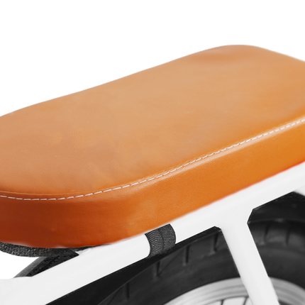 Nakto Pony Step Thru 36V/250W Electric Bike 20" Tire