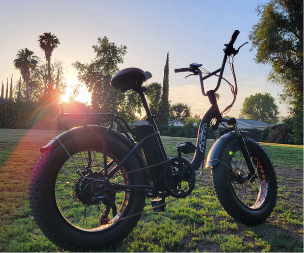 <h1><a href="/collections/fat-tires" title="Fat Tire eBikes">Fat Tire eBikes</a></h1>