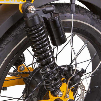 Nakto F4 Step-Thru 48V/500W-750W Electric Bike 20" Tire