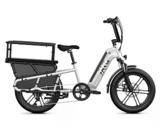 TST® Carrier 20'' Cargo Electric Bike