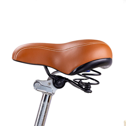 Classic 2 Adult Step - Through City/Cruiser Electric Bike 26" - Shopsy Dropsy LLC