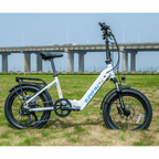 META20 1.0 - Shopsy Dropsy LLC