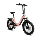 META20 1.0 - Shopsy Dropsy LLC