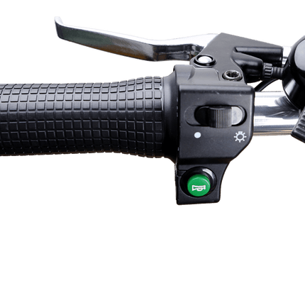 Nakto Camel Men's 350W Electric Bike with Display - Shopsy Dropsy LLC