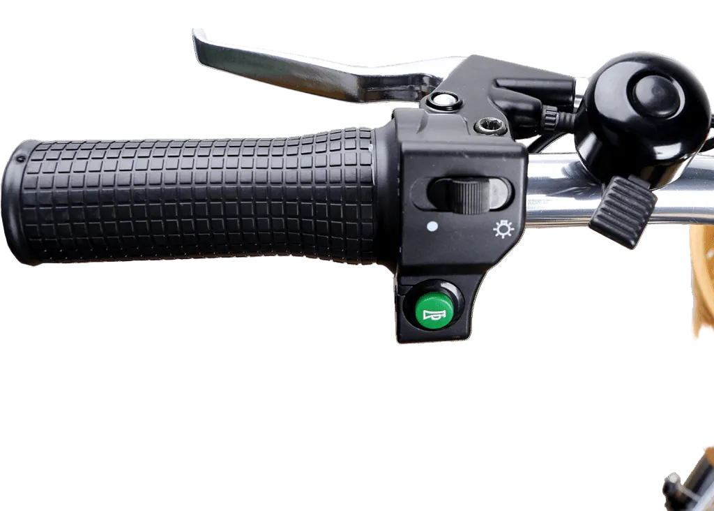 Nakto Camel Men's 350W Electric Bike with Display - Shopsy Dropsy LLC