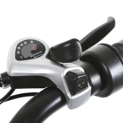Nakto Camel Men's 350W Electric Bike with Display - Shopsy Dropsy LLC