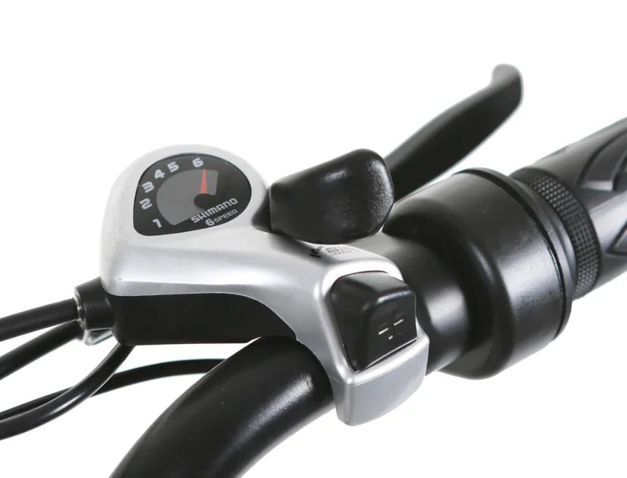 Nakto Camel Men's 350W Electric Bike with Display - Shopsy Dropsy LLC