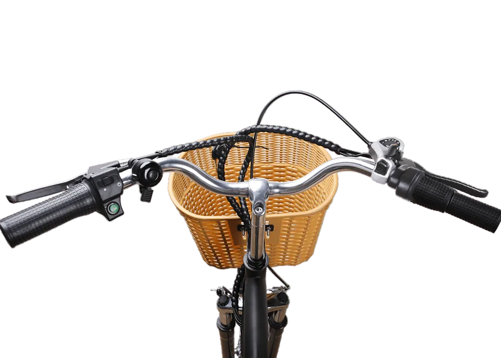 Nakto Camel Men's 350W Electric Bike with Display - Shopsy Dropsy LLC