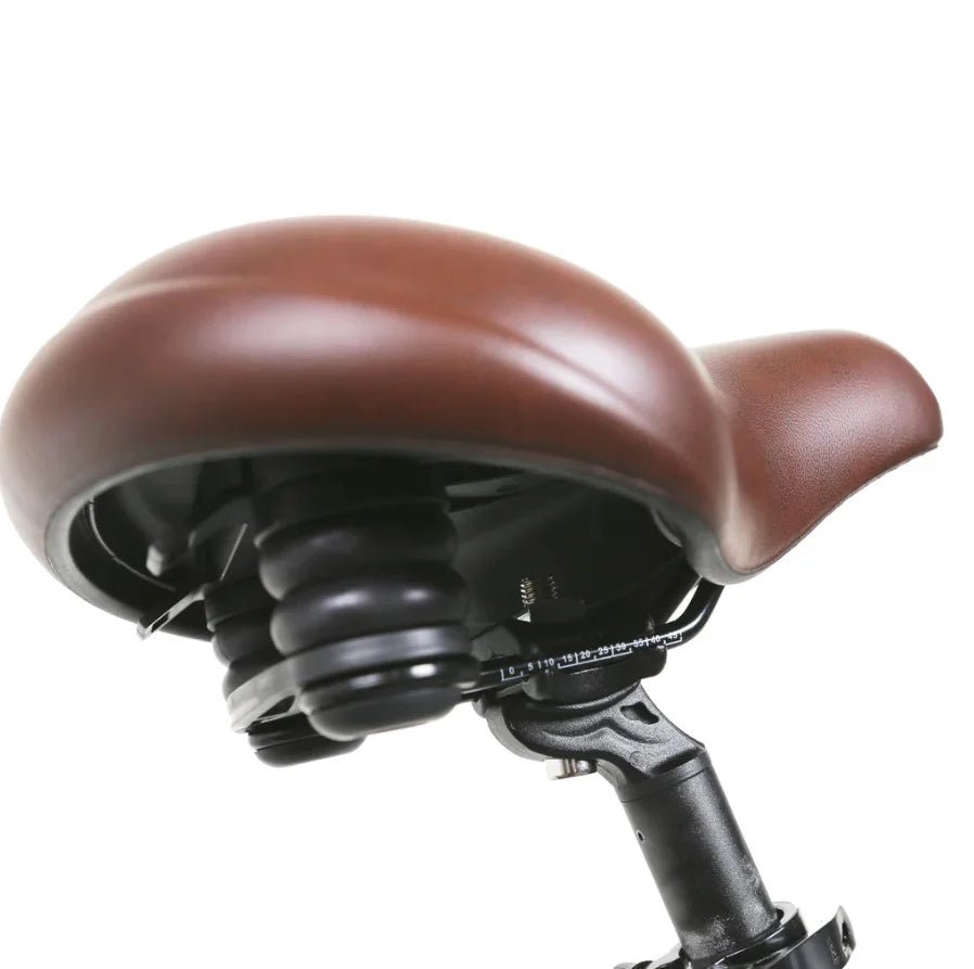 Nakto Camel Men's 350W Electric Bike with Display - Shopsy Dropsy LLC