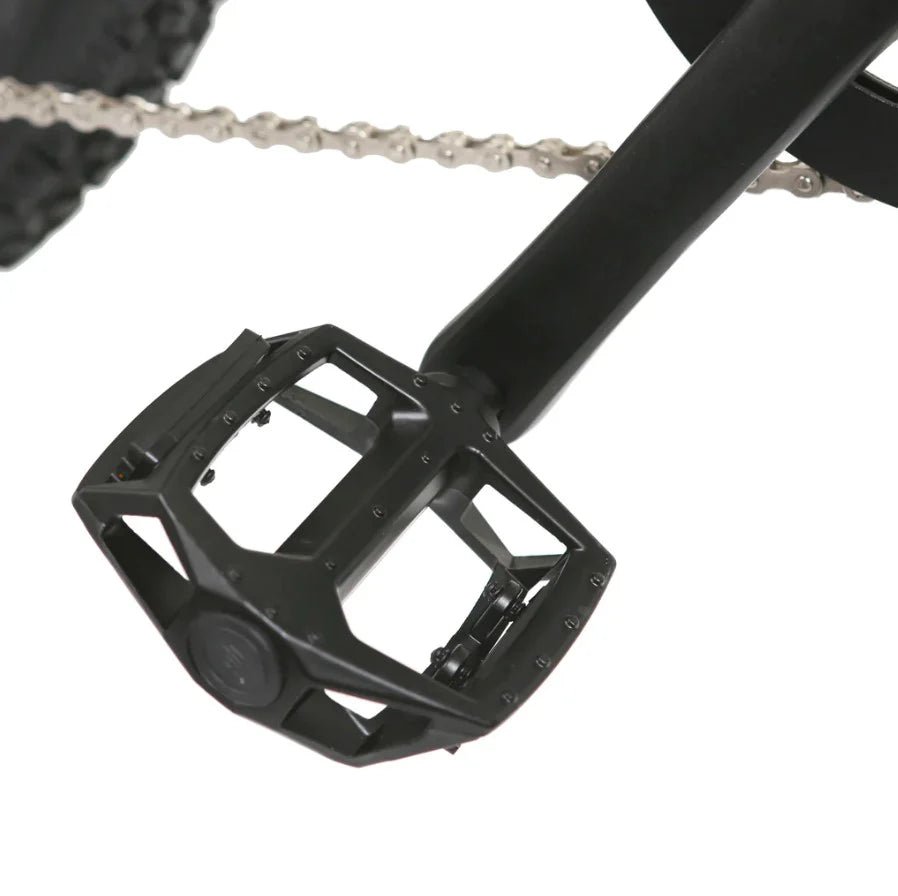 Nakto Camel Men's 350W Electric Bike with Display - Shopsy Dropsy LLC