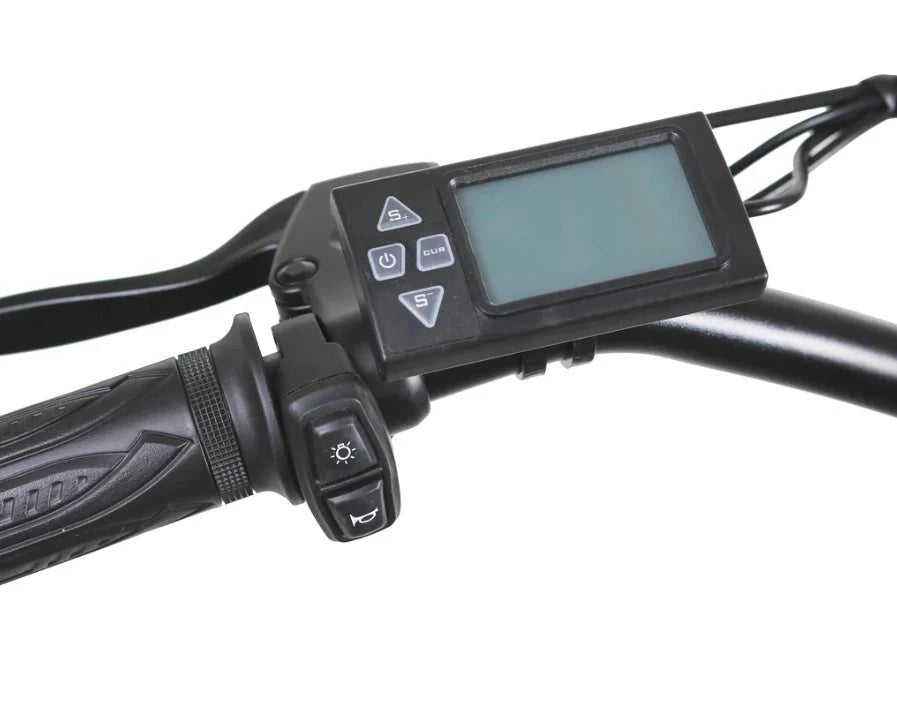 Nakto Camel Men's 350W Electric Bike with Display - Shopsy Dropsy LLC