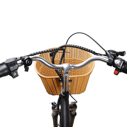 Nakto Camel Men's 350W Electric Bike with Display - Shopsy Dropsy LLC
