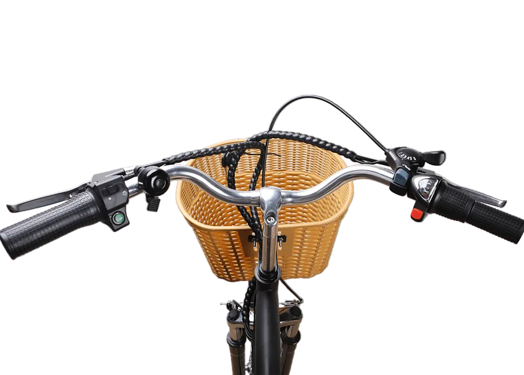 Nakto Camel Men's 350W Electric Bike with Display - Shopsy Dropsy LLC