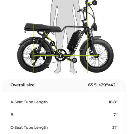 Nakto Cruiser 2 Fat Tire 750W Electric Bike 26" Tire - Shopsy Dropsy