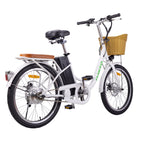 Nakto Elegance 2 Step - Through Fat Tire 500W Electric Bike 22" - Shopsy Dropsy LLC