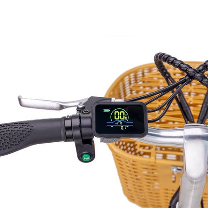 Nakto Elegance 2 Step - Through Fat Tire 500W Electric Bike 22" - Shopsy Dropsy LLC
