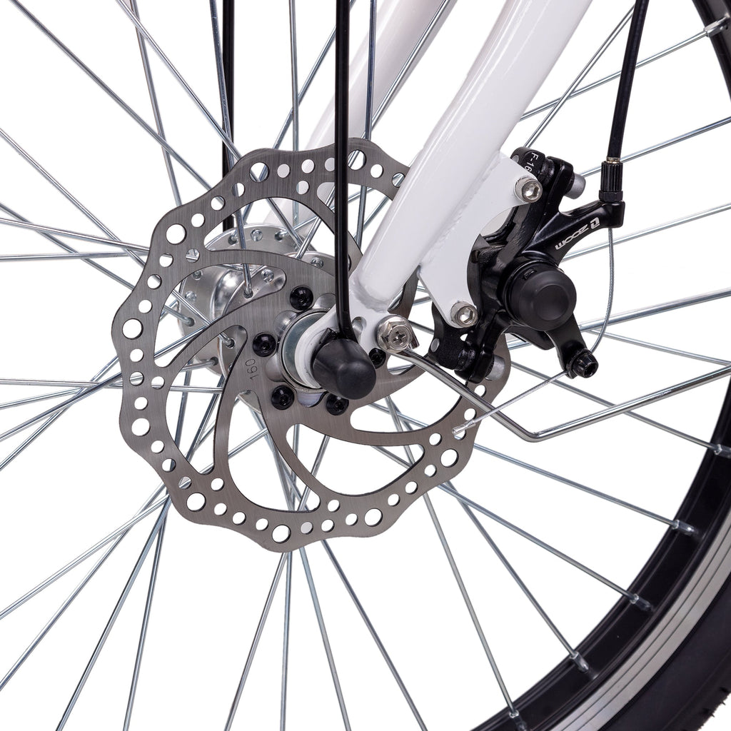 Nakto Elegance 2 Step - Through Fat Tire 500W Electric Bike 22" - Shopsy Dropsy LLC