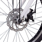 Nakto Elegance 2 Step - Through Fat Tire 500W Electric Bike 22" - Shopsy Dropsy LLC