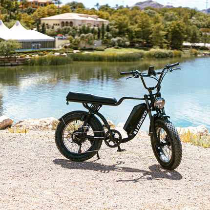 Nakto F2 Electric Bike - Shopsy Dropsy LLC