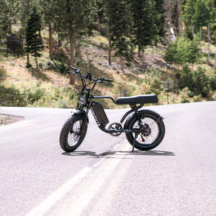 Nakto F2 Electric Bike - Shopsy Dropsy LLC