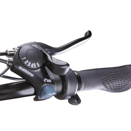 Nakto F4 Step - Thru 500W/750W Electric Bike 20" - Shopsy Dropsy LLC