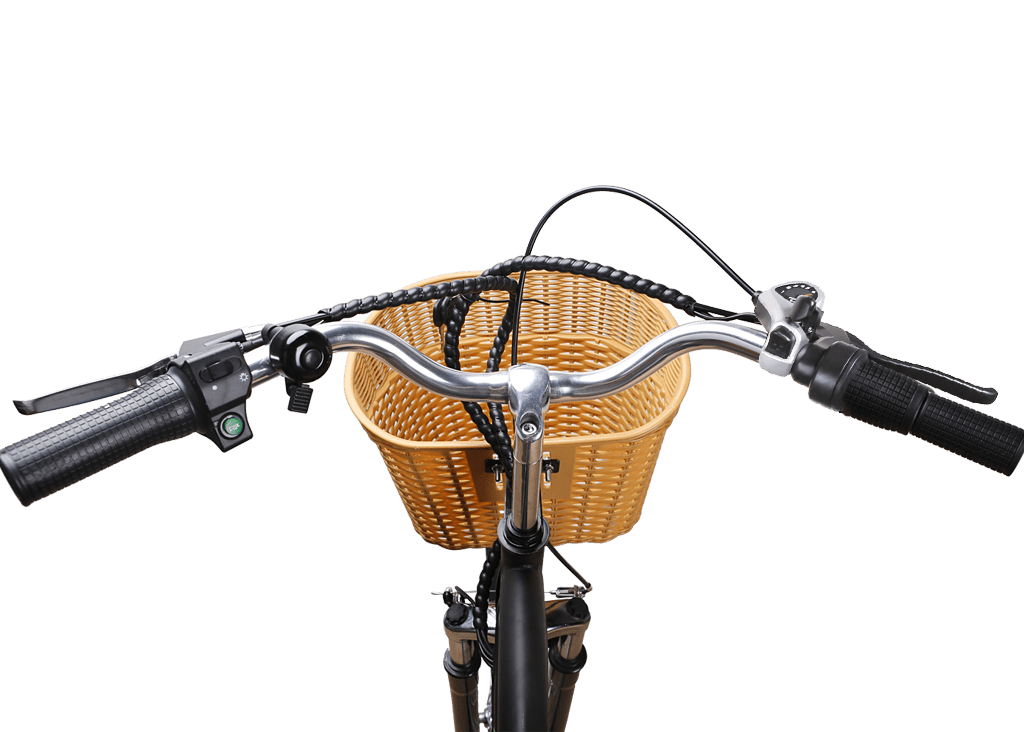Nakto (Female) Camel Step - Thru 350W Electric Bike (with Display) 26" - Shopsy Dropsy LLC