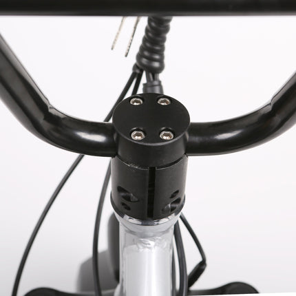 Nakto Folding Ox Step - Thru Fat Tire 500W Electric Fat Bike 20" - Shopsy Dropsy LLC
