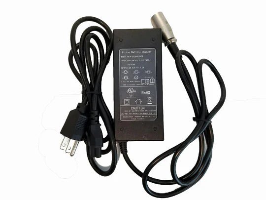 Replacement 24 Volt Battery Charger 24V LiPo4 Lithium - Trail Maker, Trail Climber, Malibu & Newport Electric Bike - Shopsy Dropsy