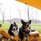 Sunshade Tarp 170 - Shopsy Dropsy LLC