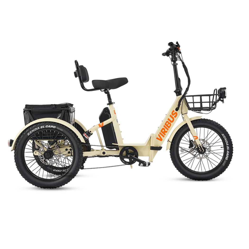 Viribus FC1 48V/750W Folding Electric Trike 20" Tire - Shopsy Dropsy LLC