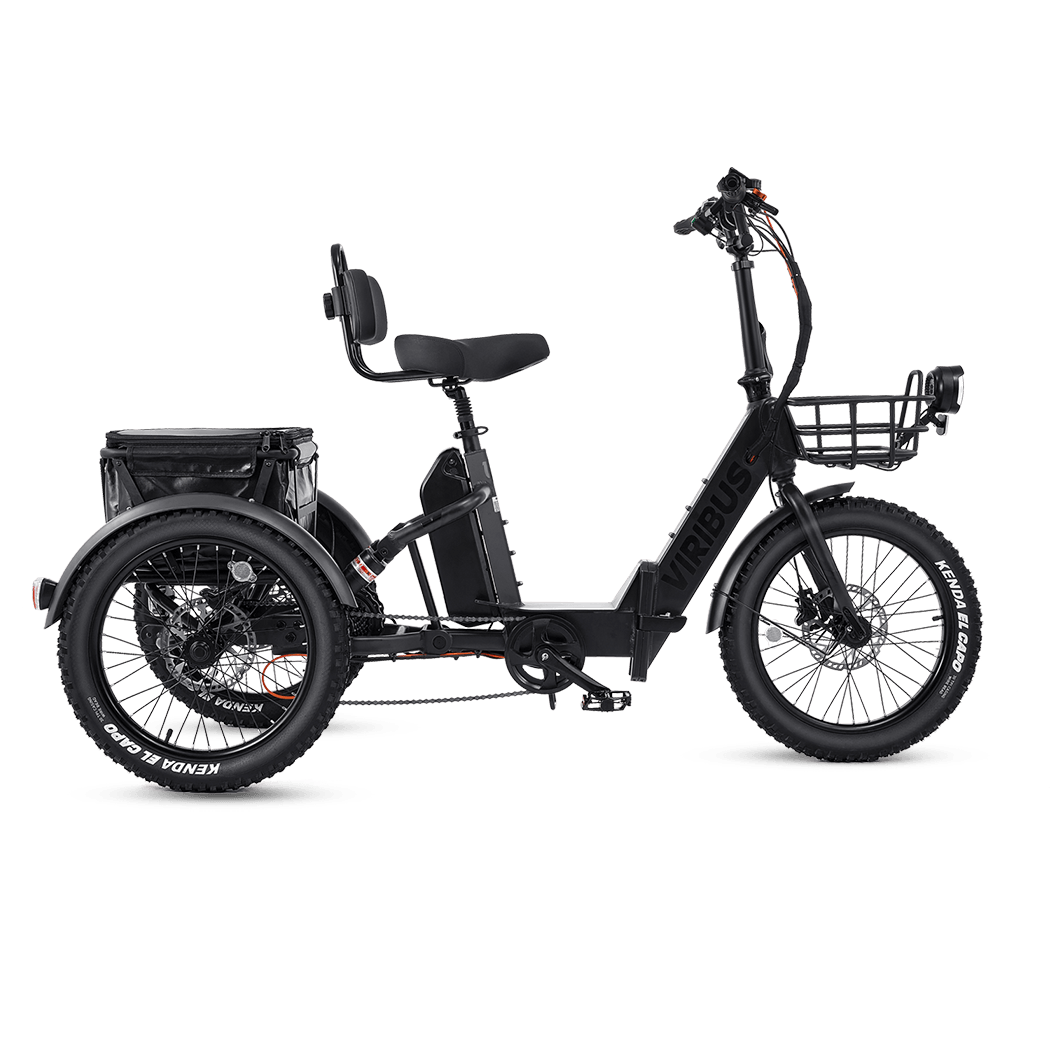 Viribus FC1 48V/750W Folding Electric Trike 20" Tire - Shopsy Dropsy LLC