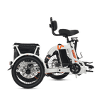Viribus FC2 48V/750W Folding Electric Trike 18" Tire - Shopsy Dropsy LLC
