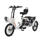 Viribus FC2 48V/750W Folding Electric Trike 18" Tire - Shopsy Dropsy LLC