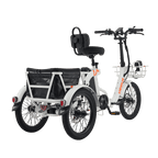 Viribus FC2 48V/750W Folding Electric Trike 18" Tire - Shopsy Dropsy LLC