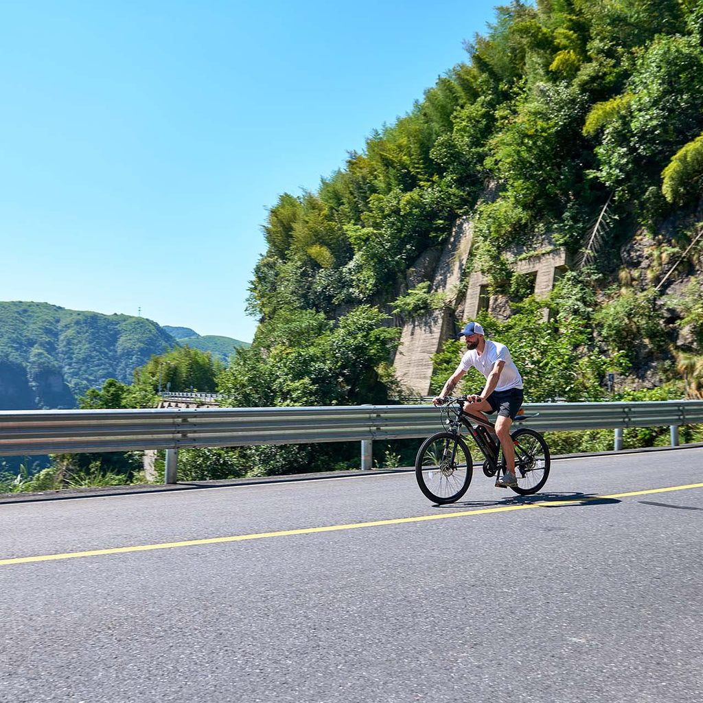 Viribus Panther 48V/350W Electric 26" tire - Shopsy Dropsy LLC