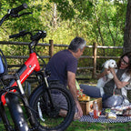 Viribus SC5 48V/500W Fat Tire Electric Trike 20" Tire - Shopsy Dropsy LLC