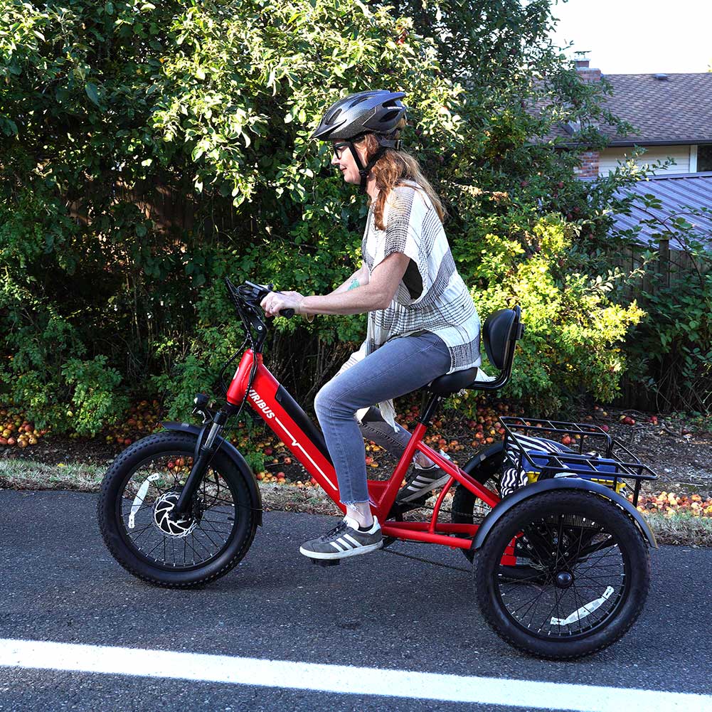 Viribus SC5 48V/500W Fat Tire Electric Trike 20" Tire - Shopsy Dropsy LLC
