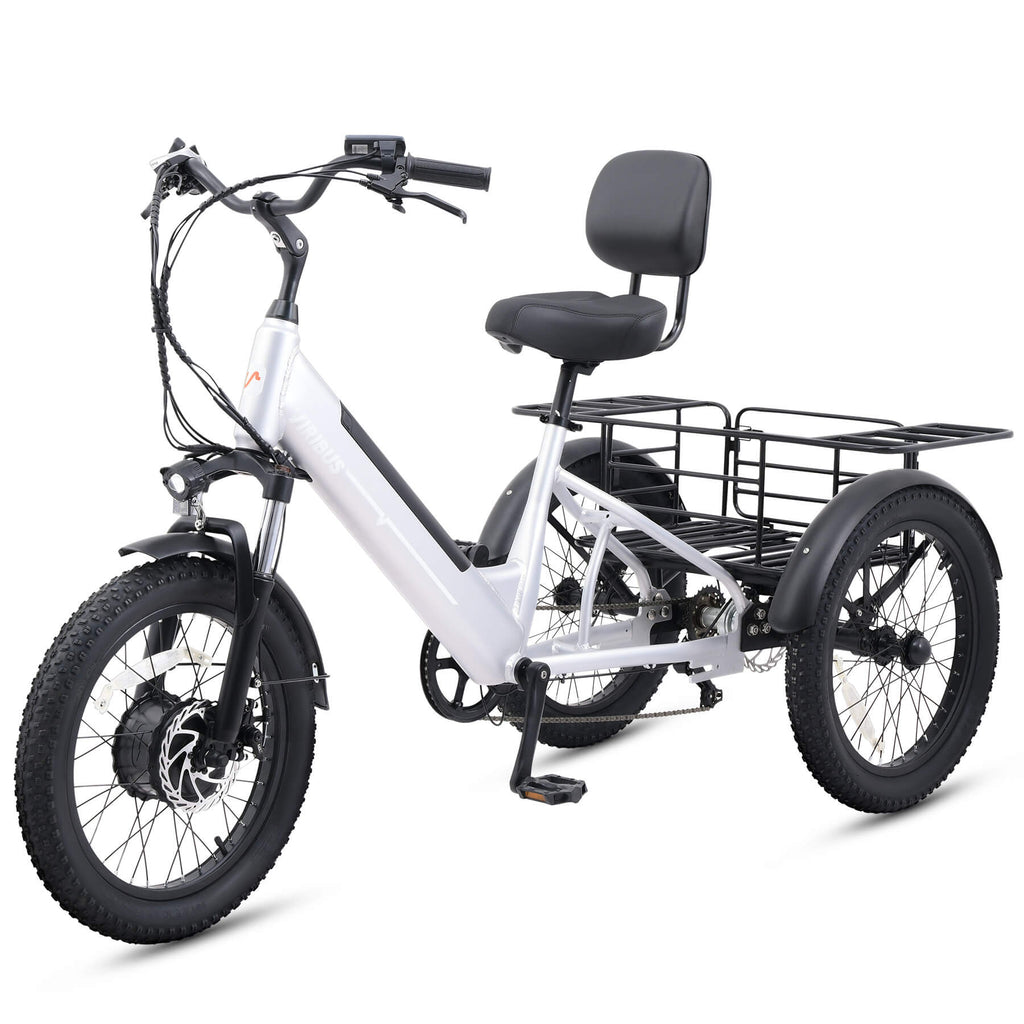 Viribus SC5 48V/500W Fat Tire Electric Trike 20" Tire - Shopsy Dropsy LLC