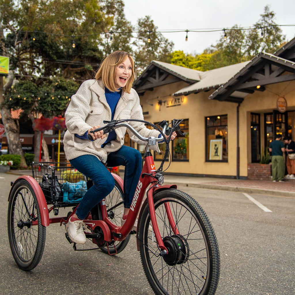 Viribus TG1 350W/36V Folding Electric Tricycle 24" Tire - Shopsy Dropsy LLC