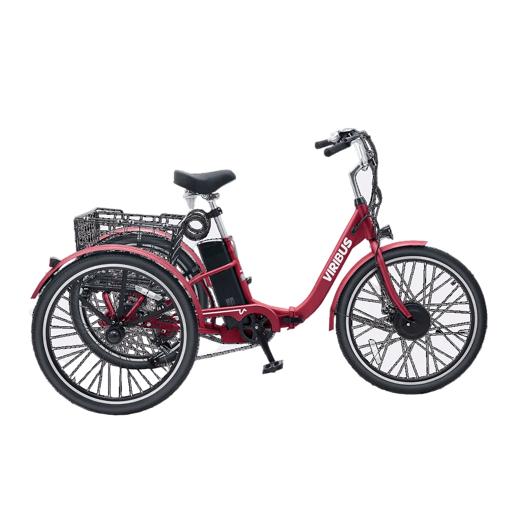 Viribus TG1 350W/36V Folding Electric Tricycle 24" Tire - Shopsy Dropsy LLC