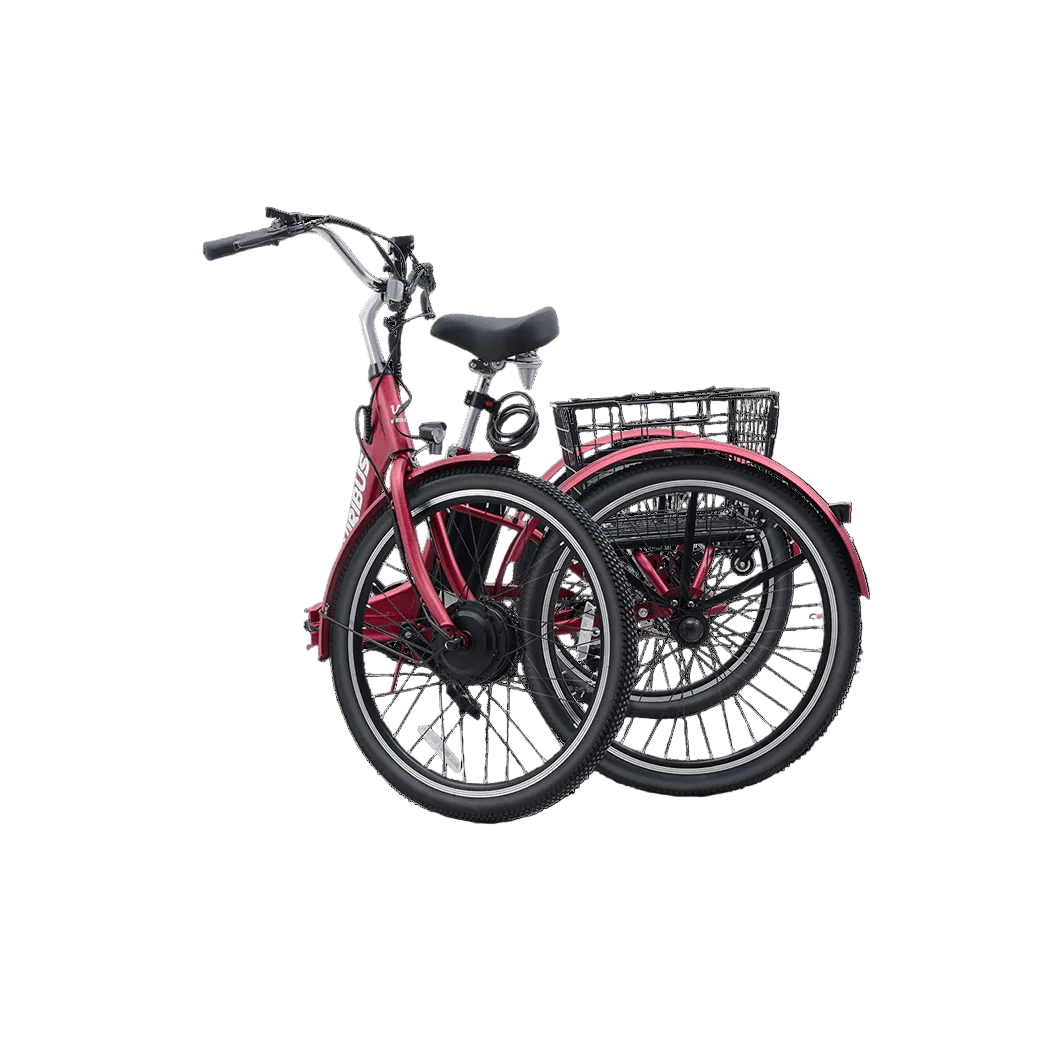 Viribus TG1 350W/36V Folding Electric Tricycle 24" Tire - Shopsy Dropsy LLC